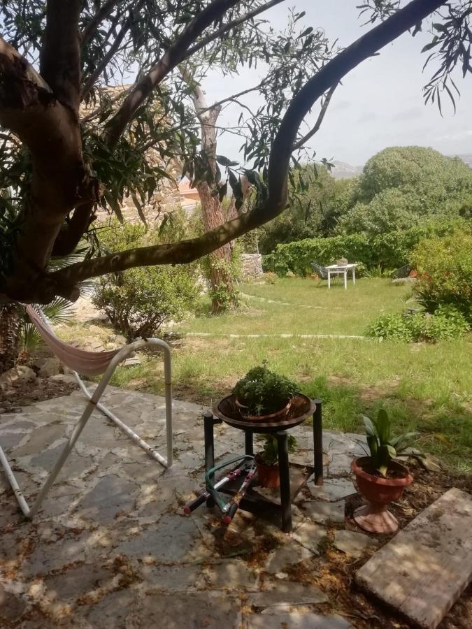 לינה וארוחת בוקר סטינטינו Sa Domo De Afra מראה חיצוני תמונה
